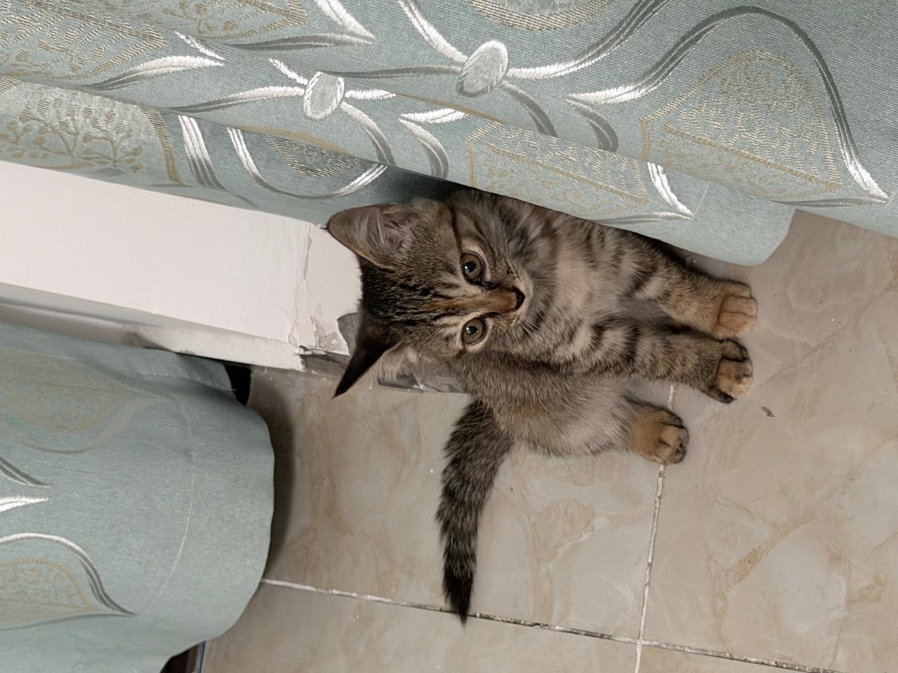 #