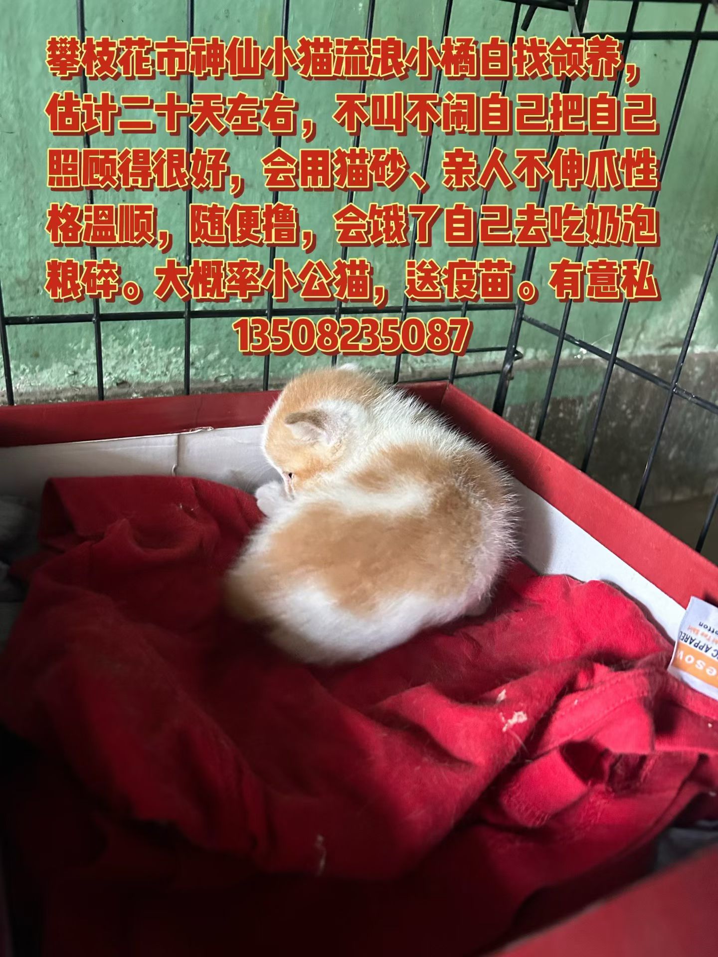 #