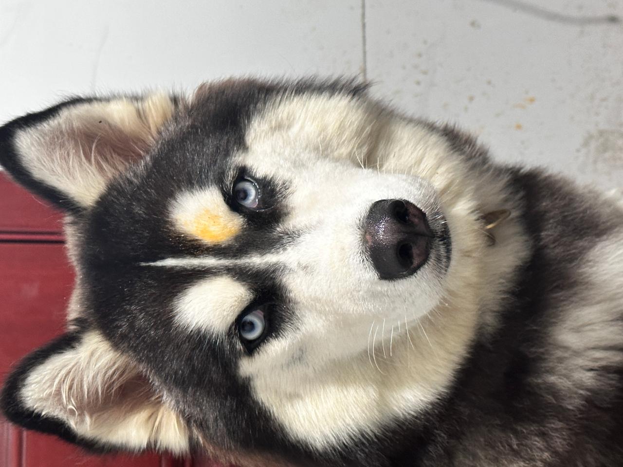#