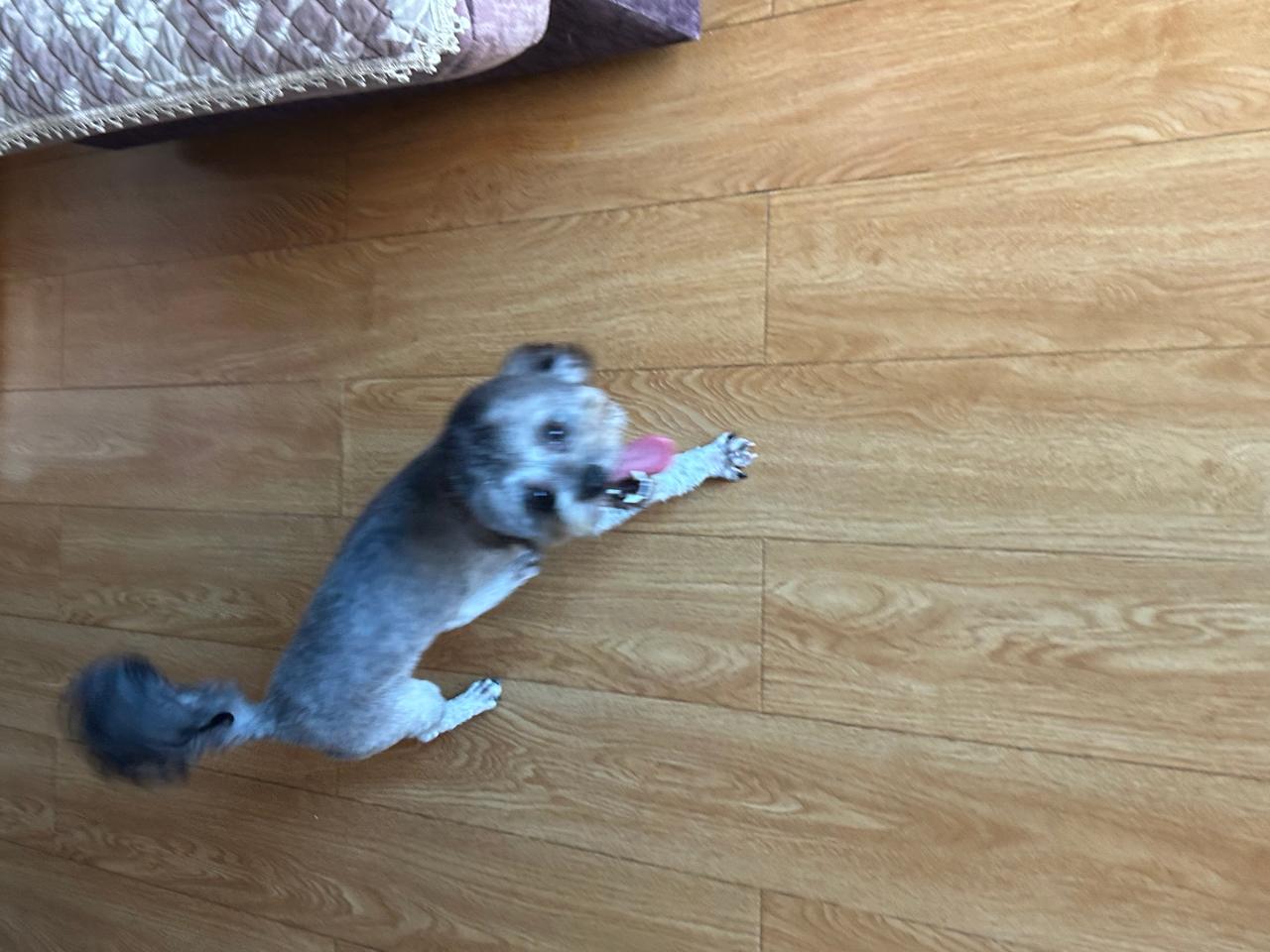 #