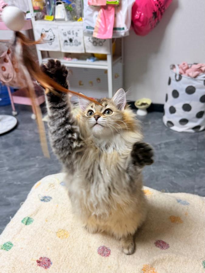 #