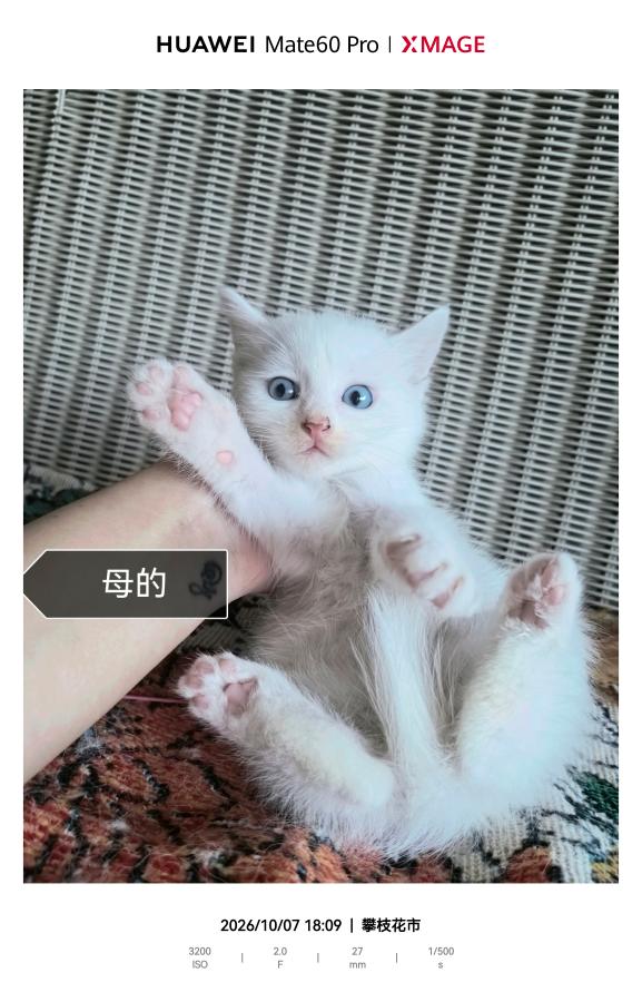 #