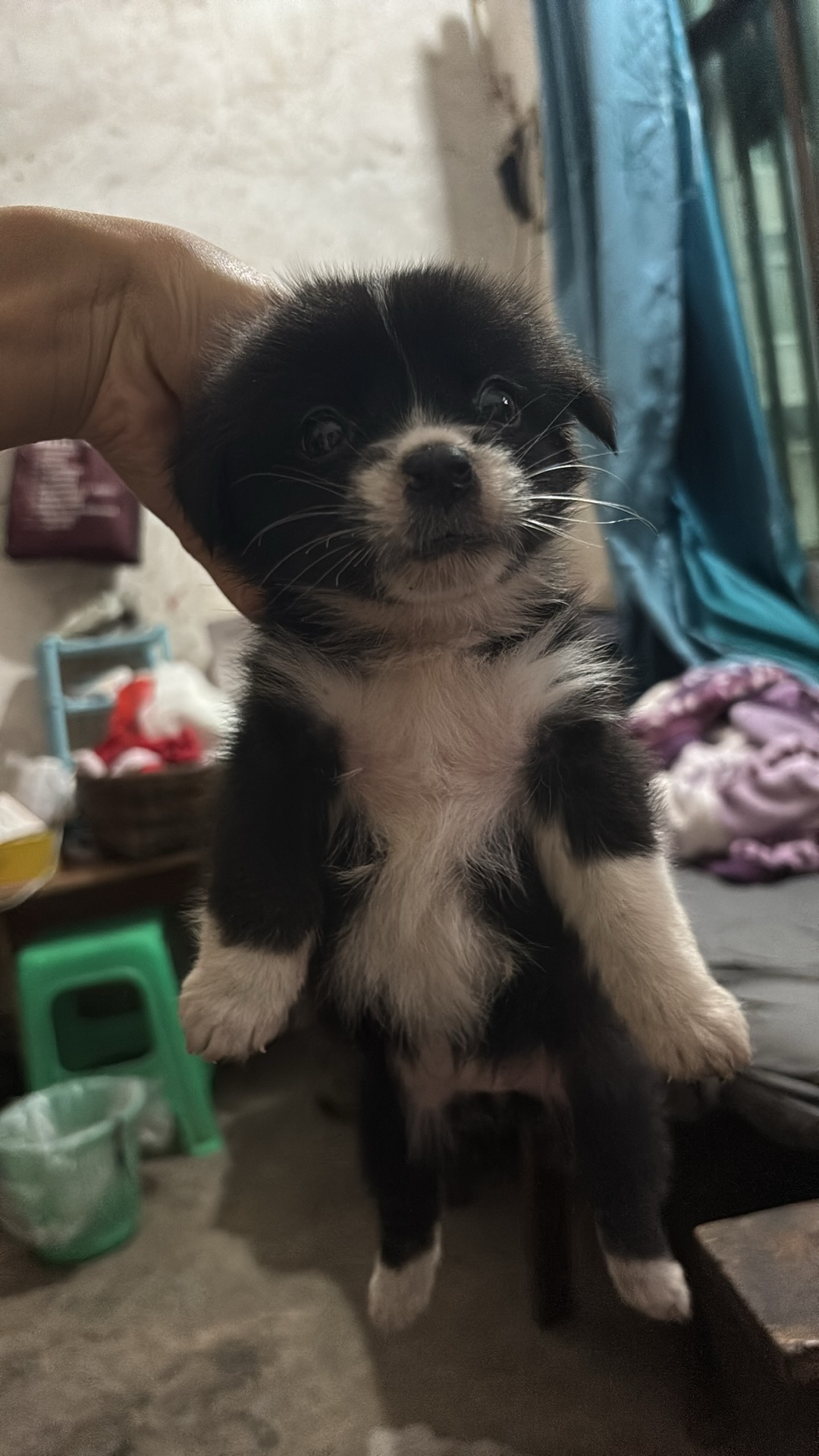 #