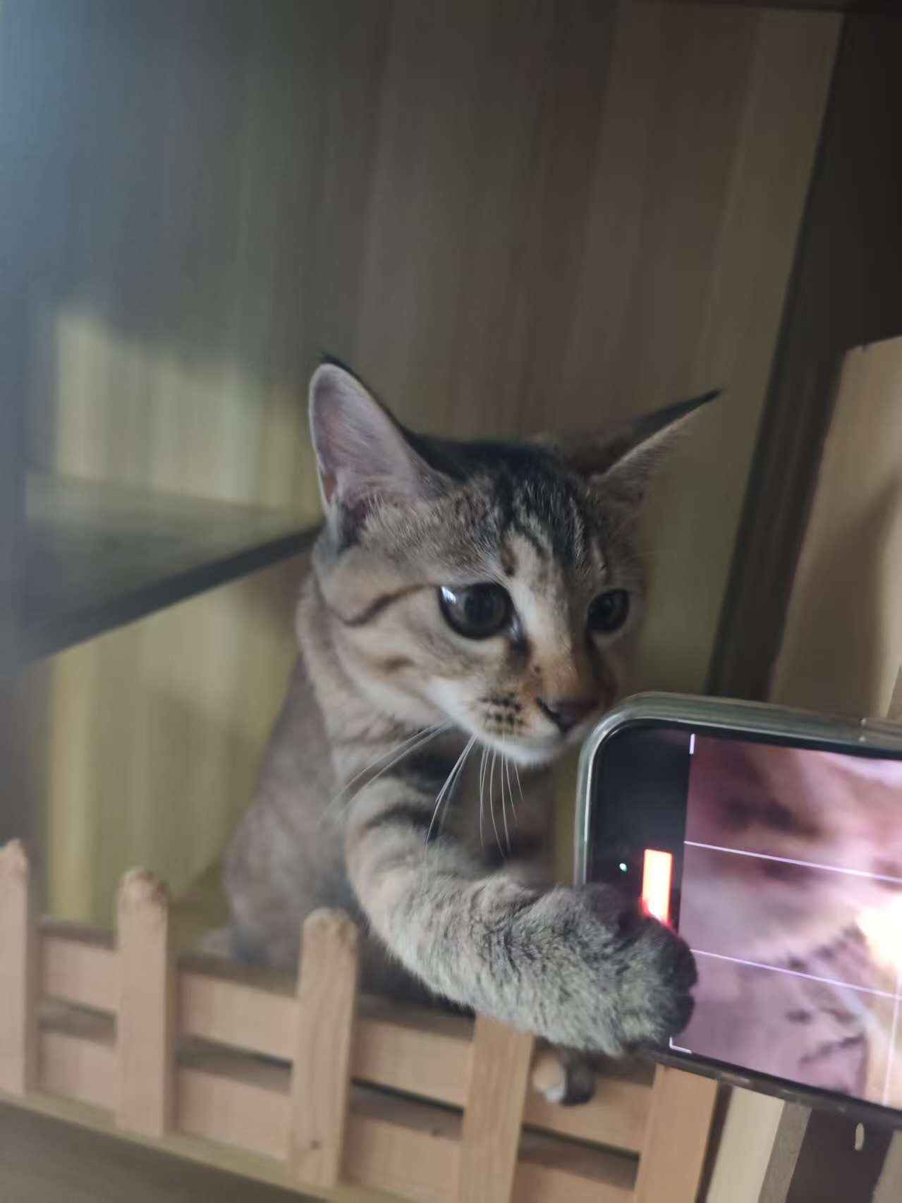 #