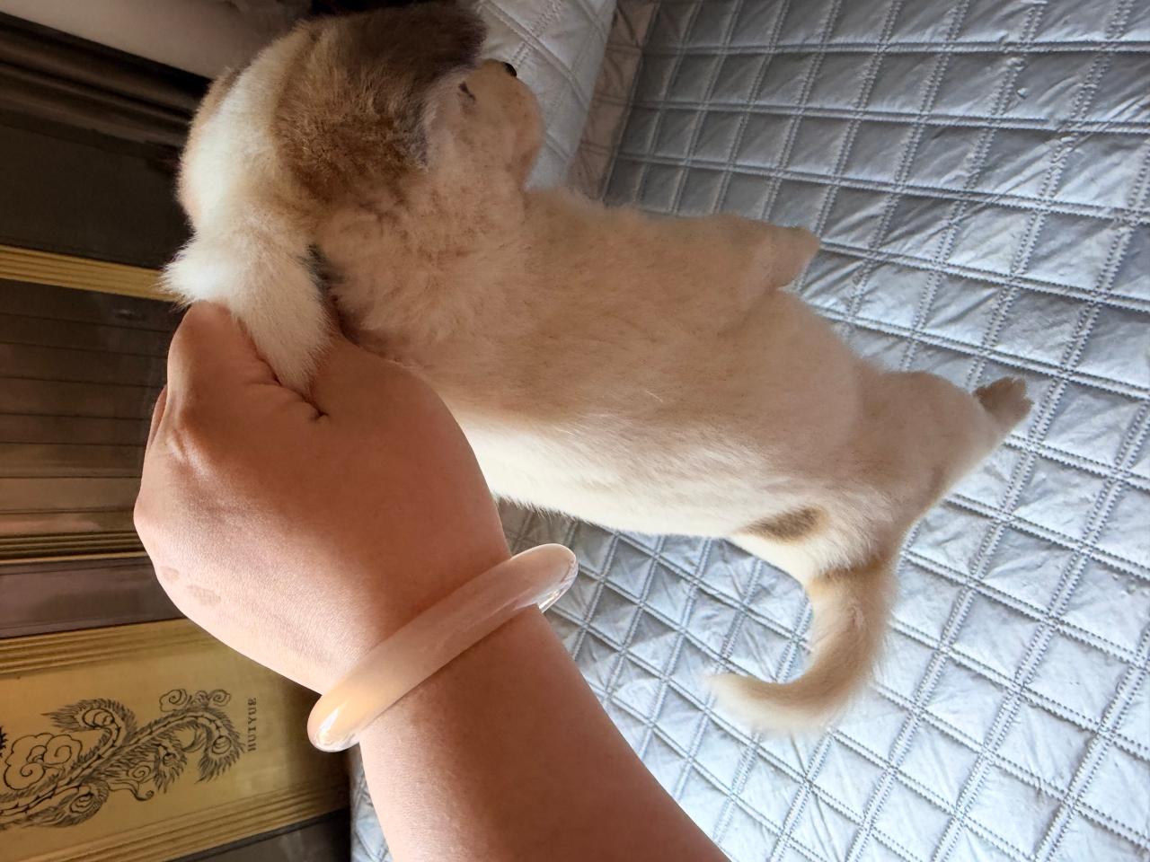 #