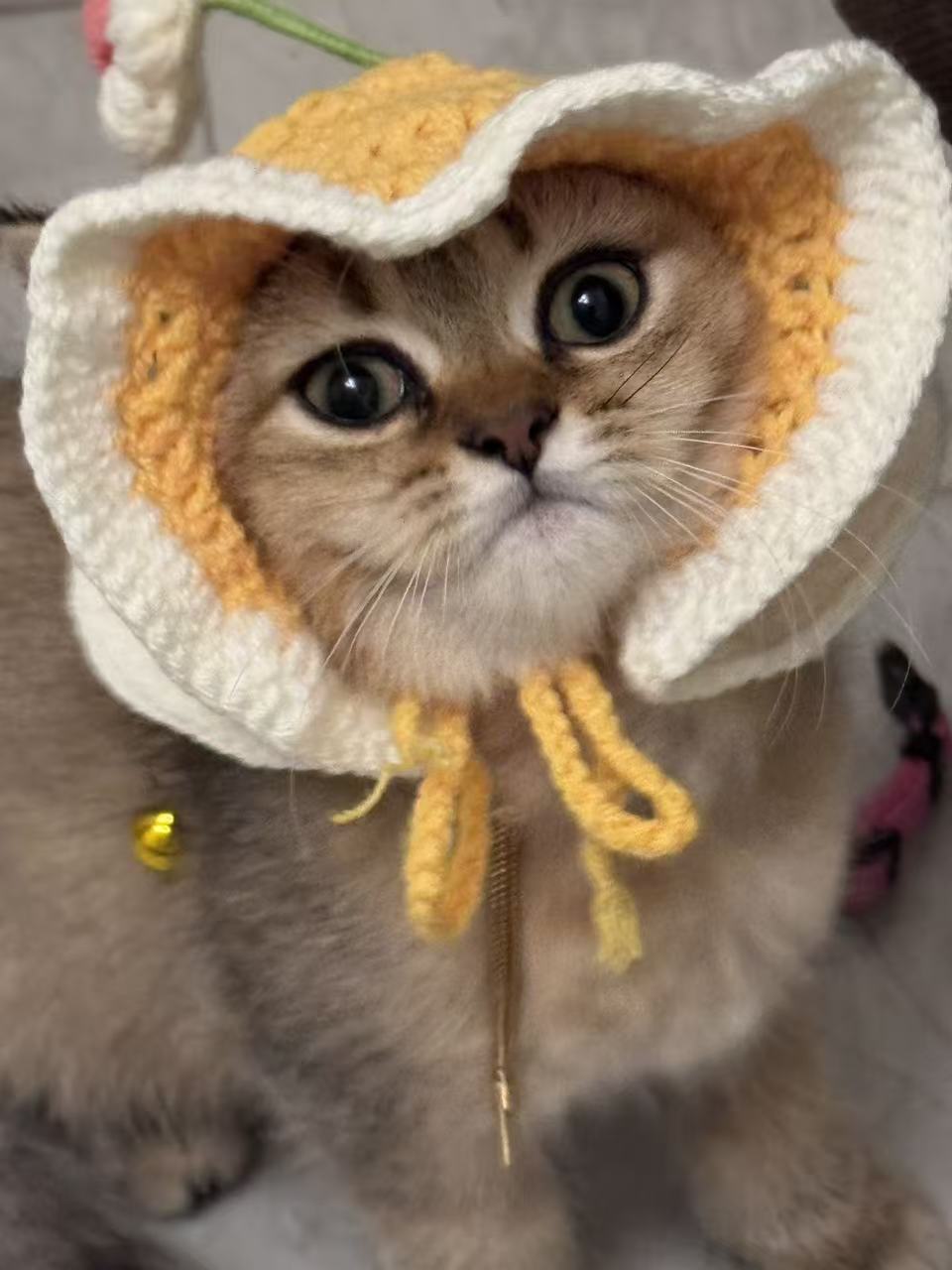 #