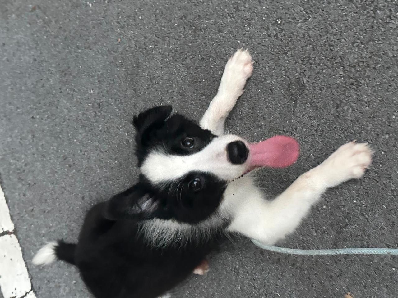 #