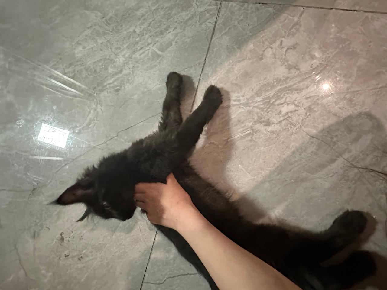 #