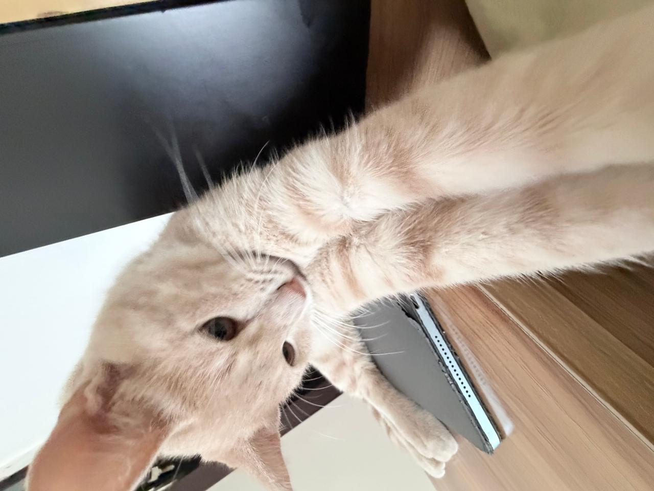 #