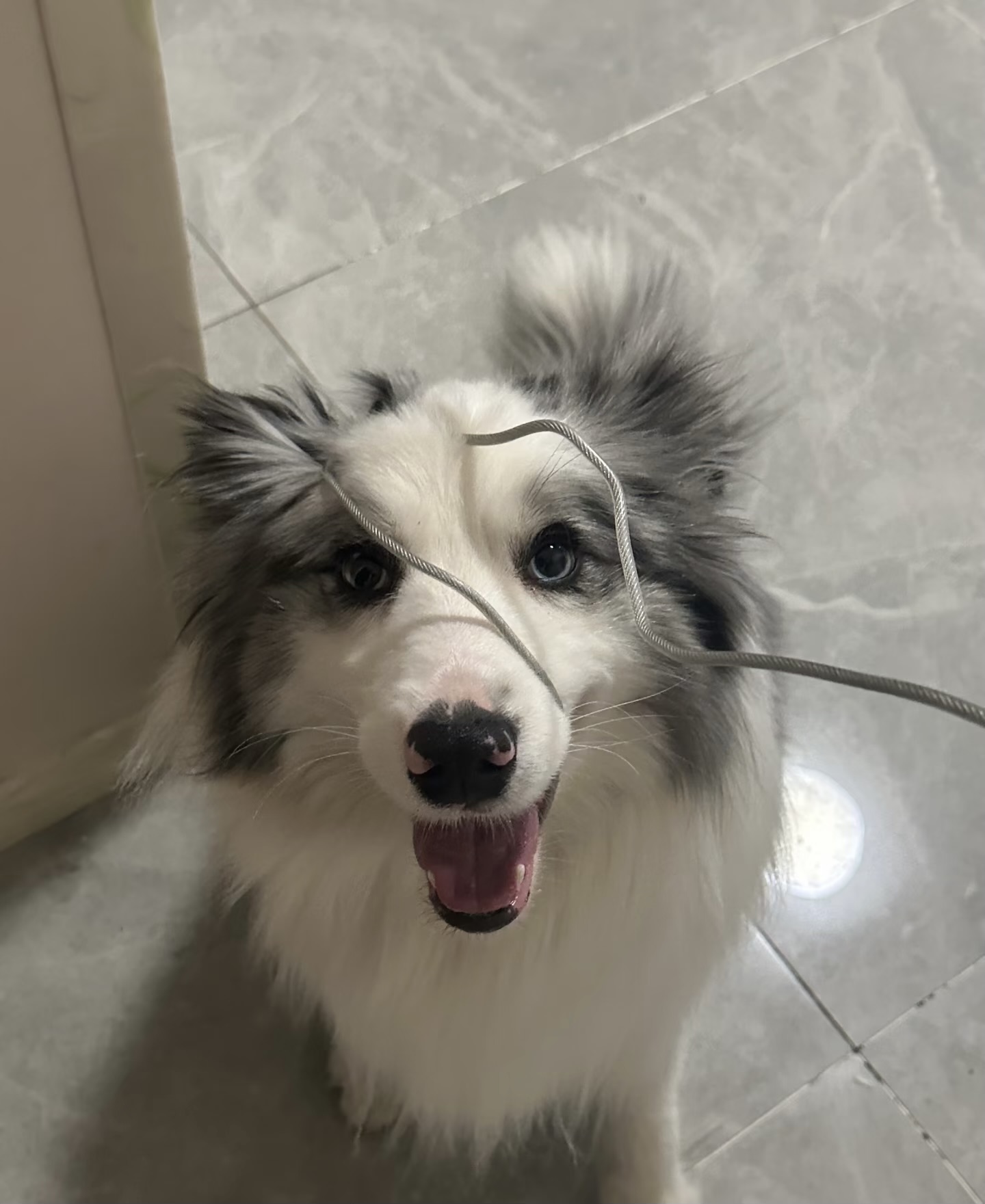#