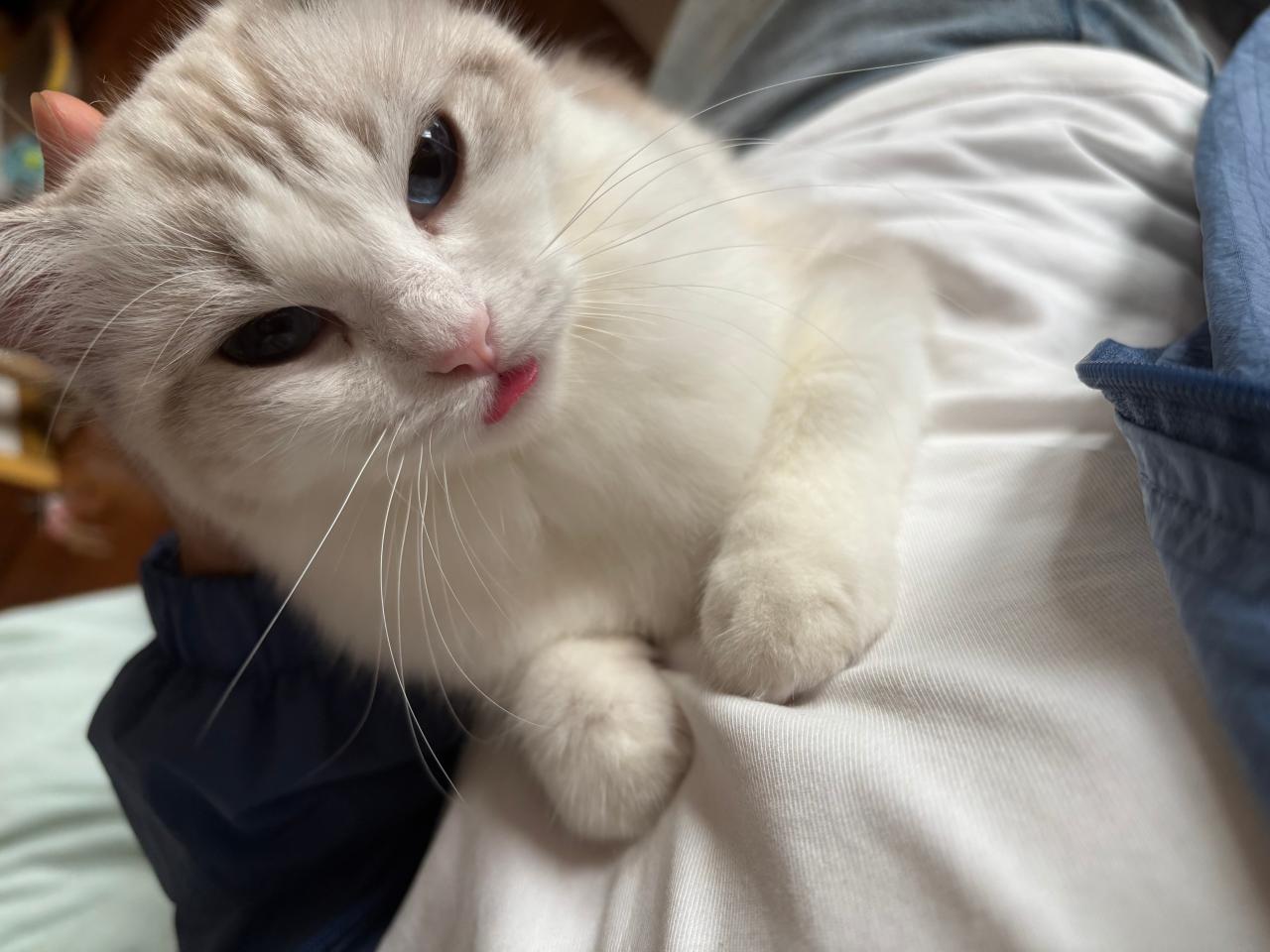 #