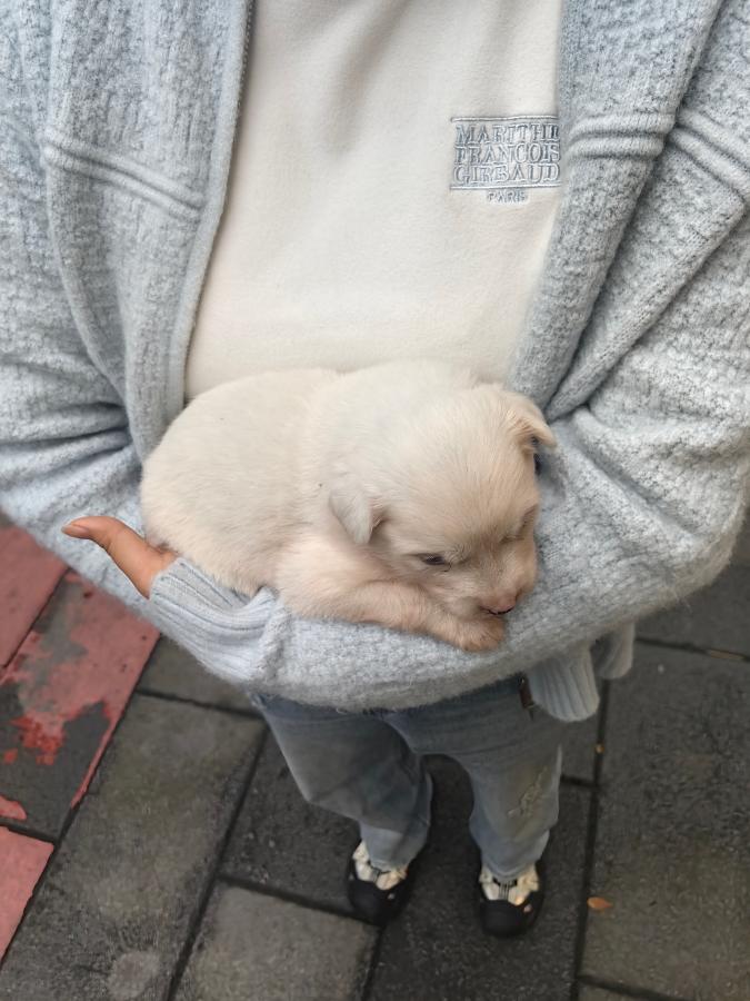 #