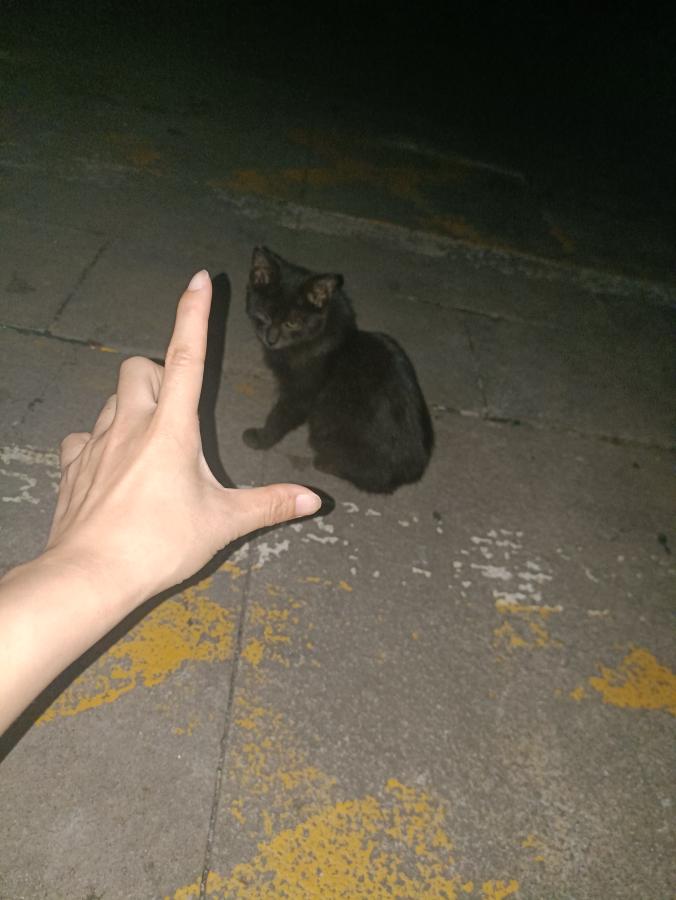 #