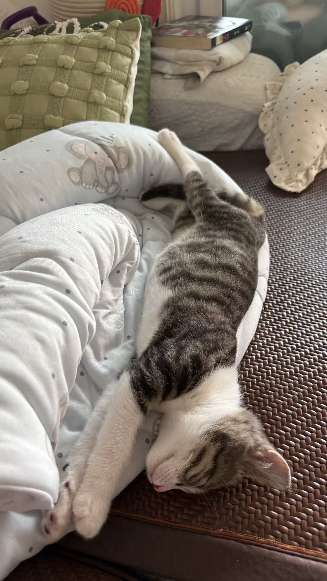 #