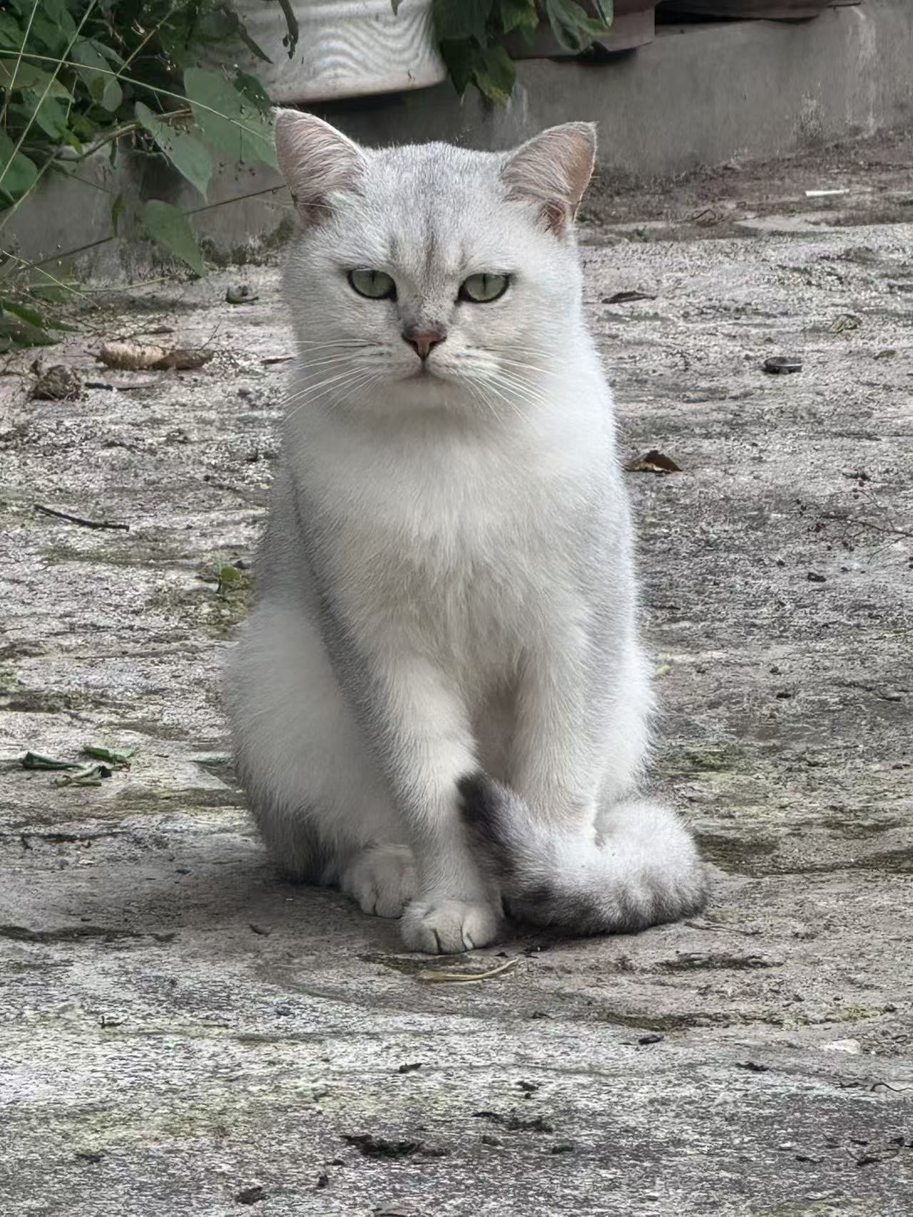 #