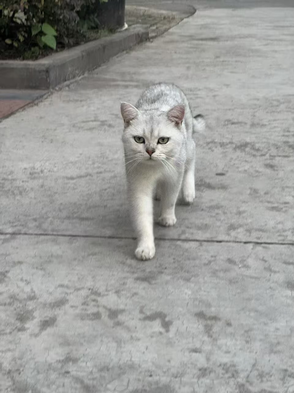 #
