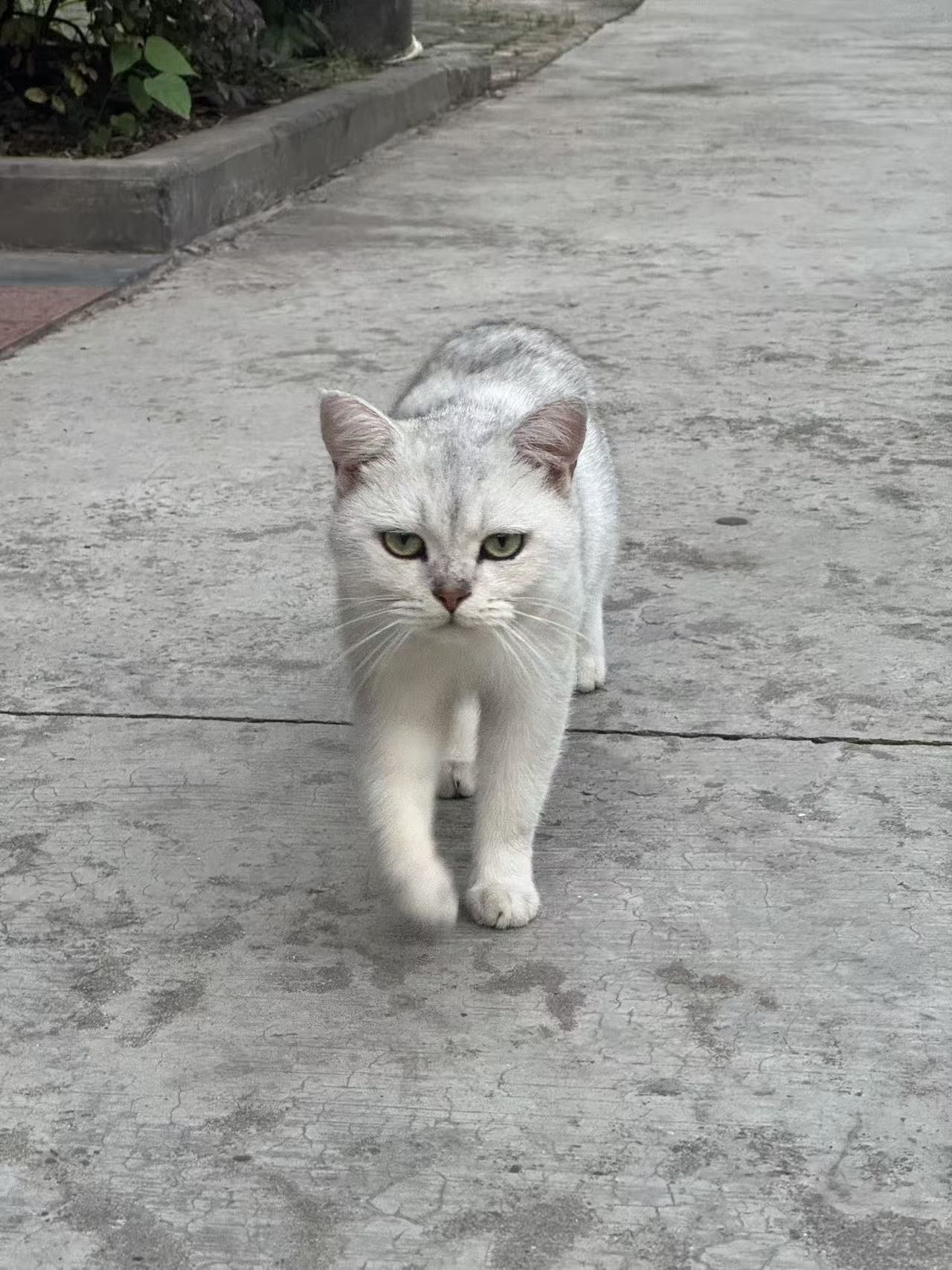 #