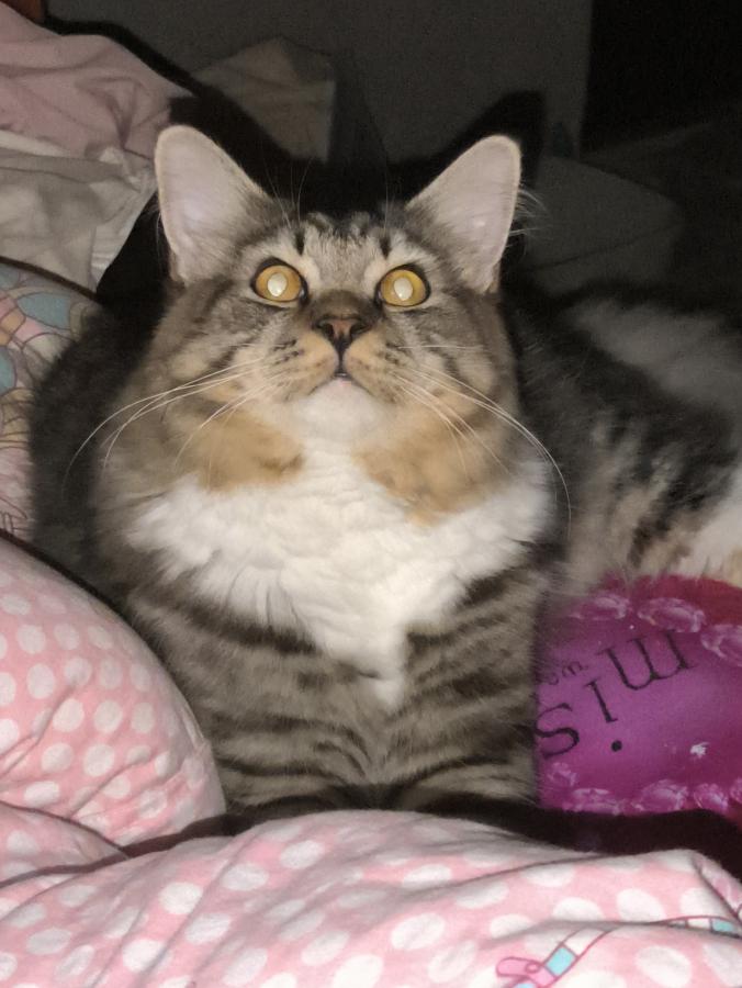 #