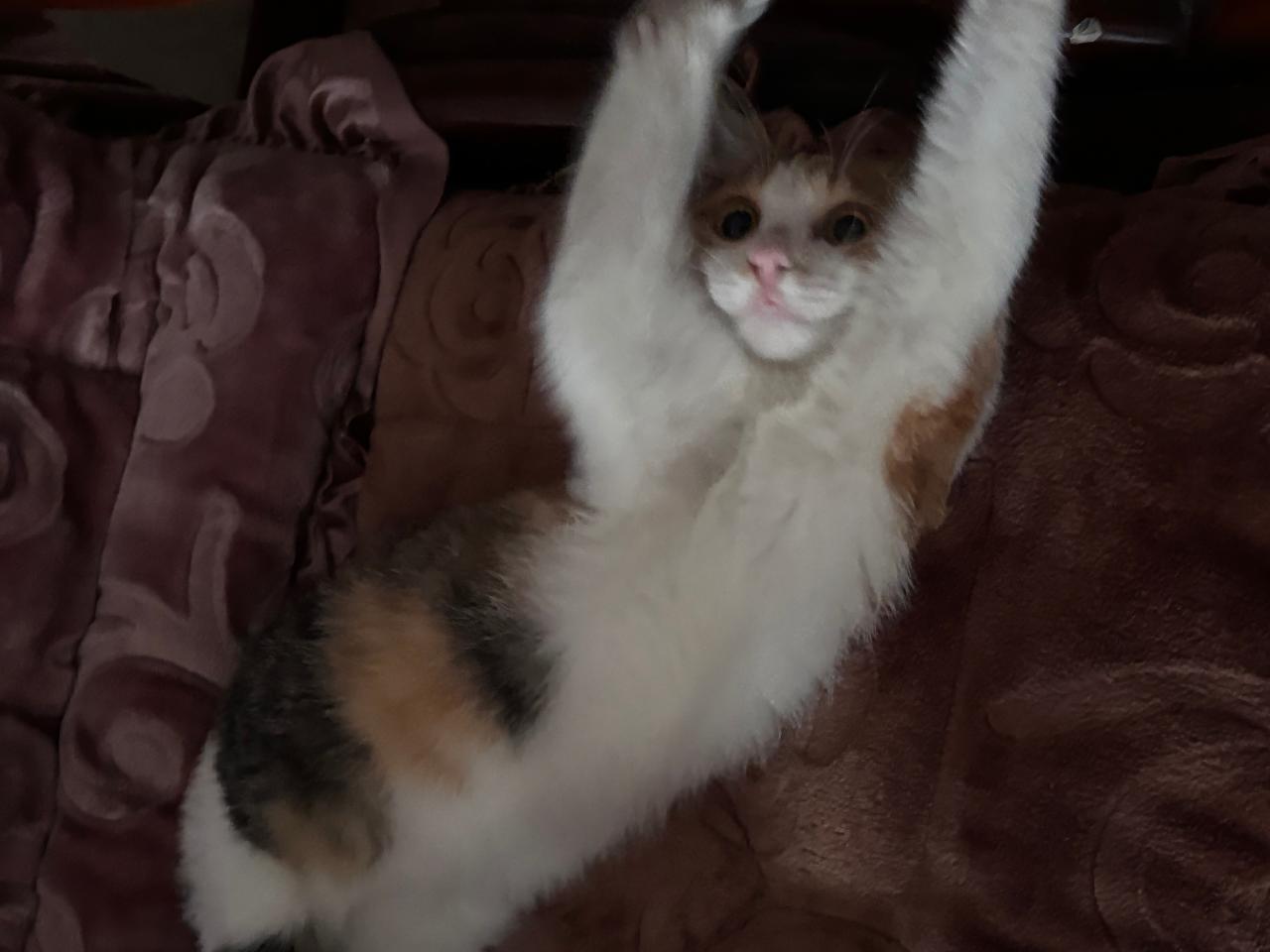 #