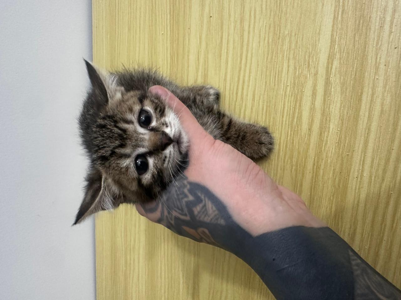 #