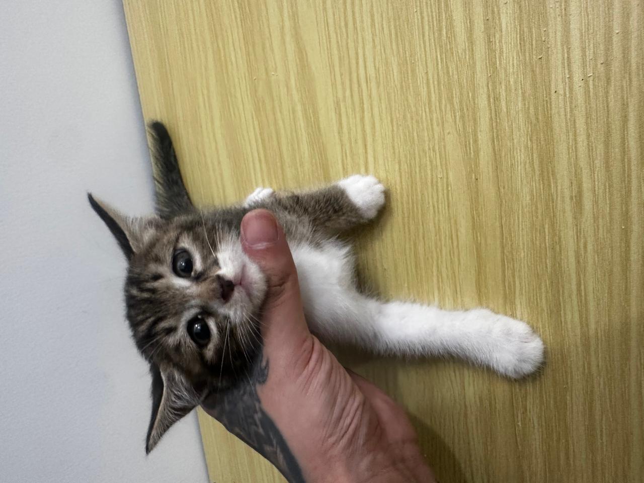 #