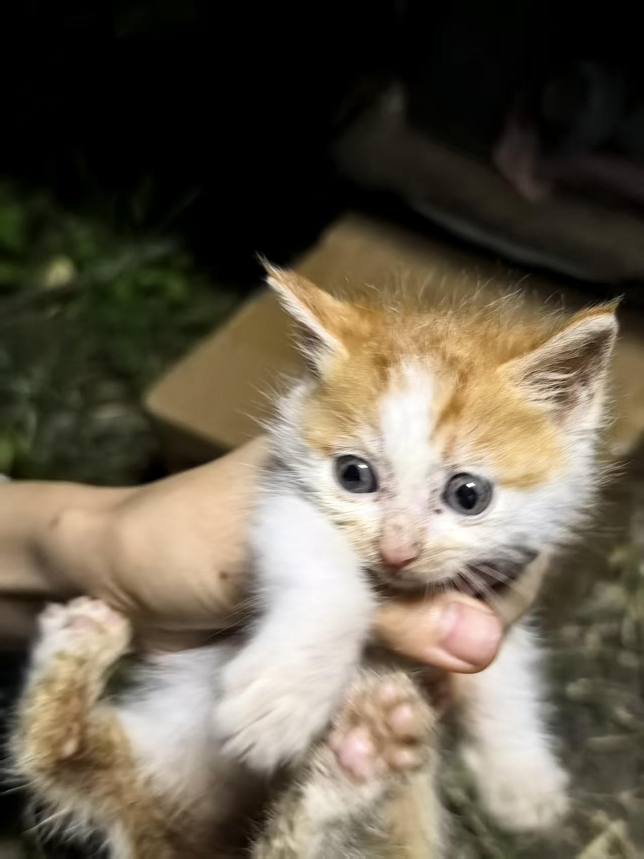 #