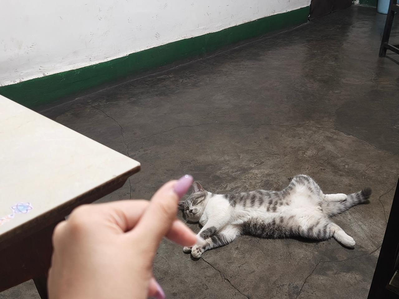 #