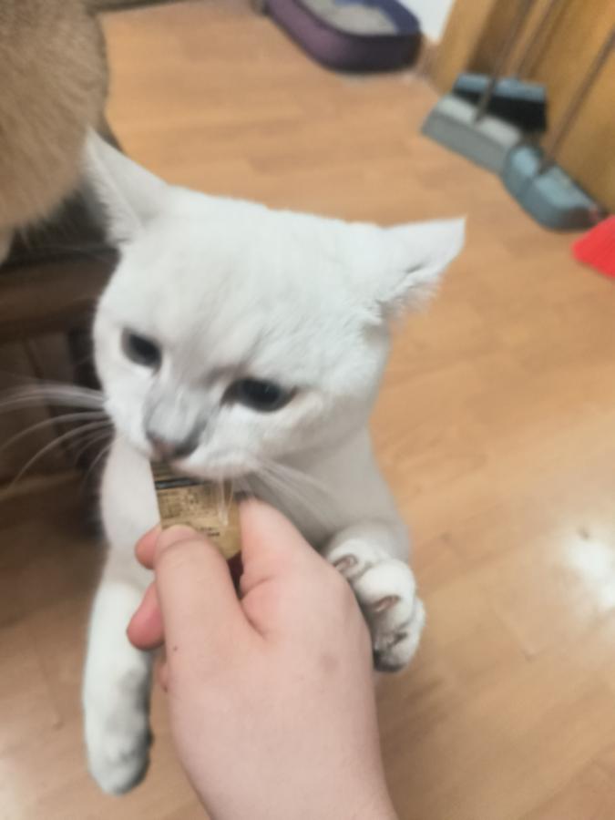 #