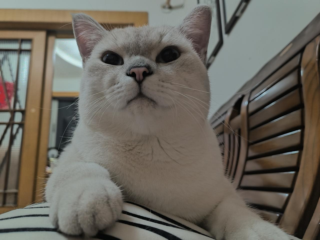 #