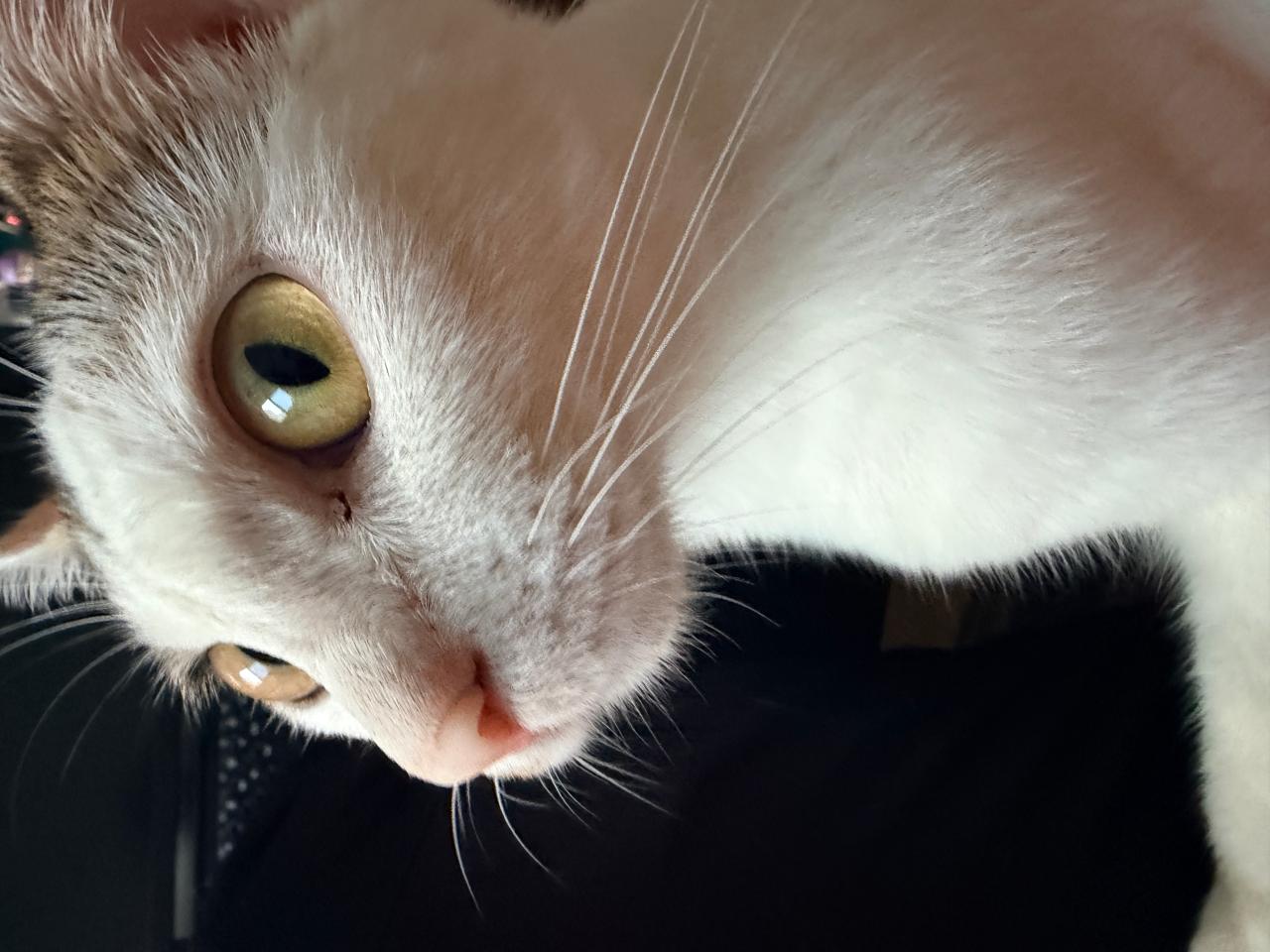 #