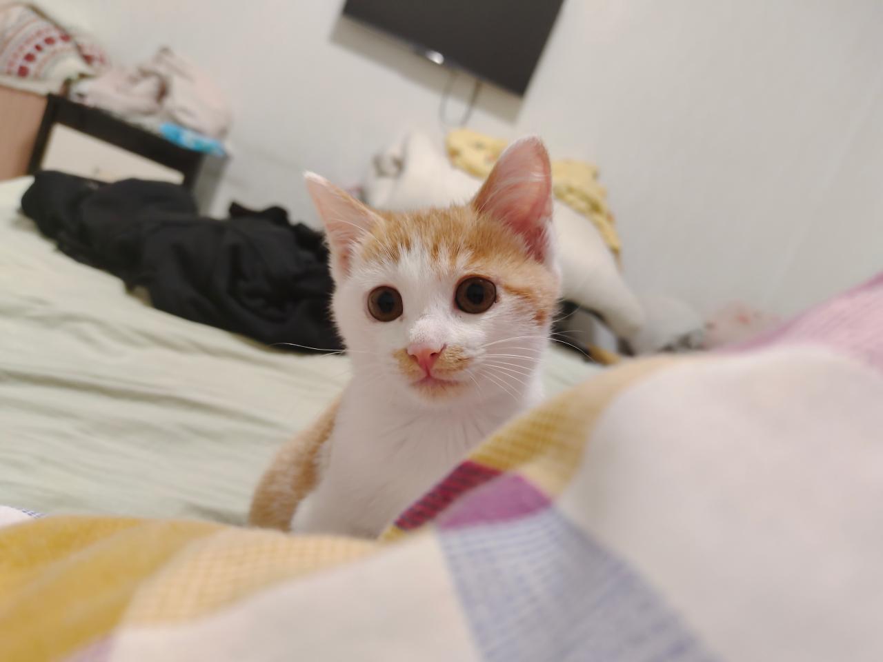 #