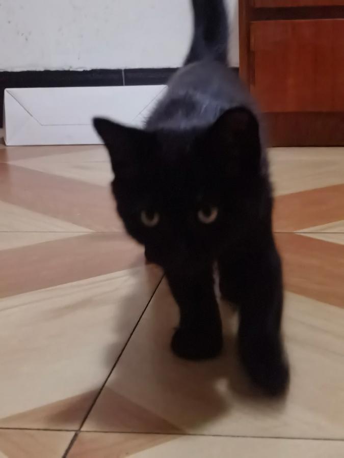 #