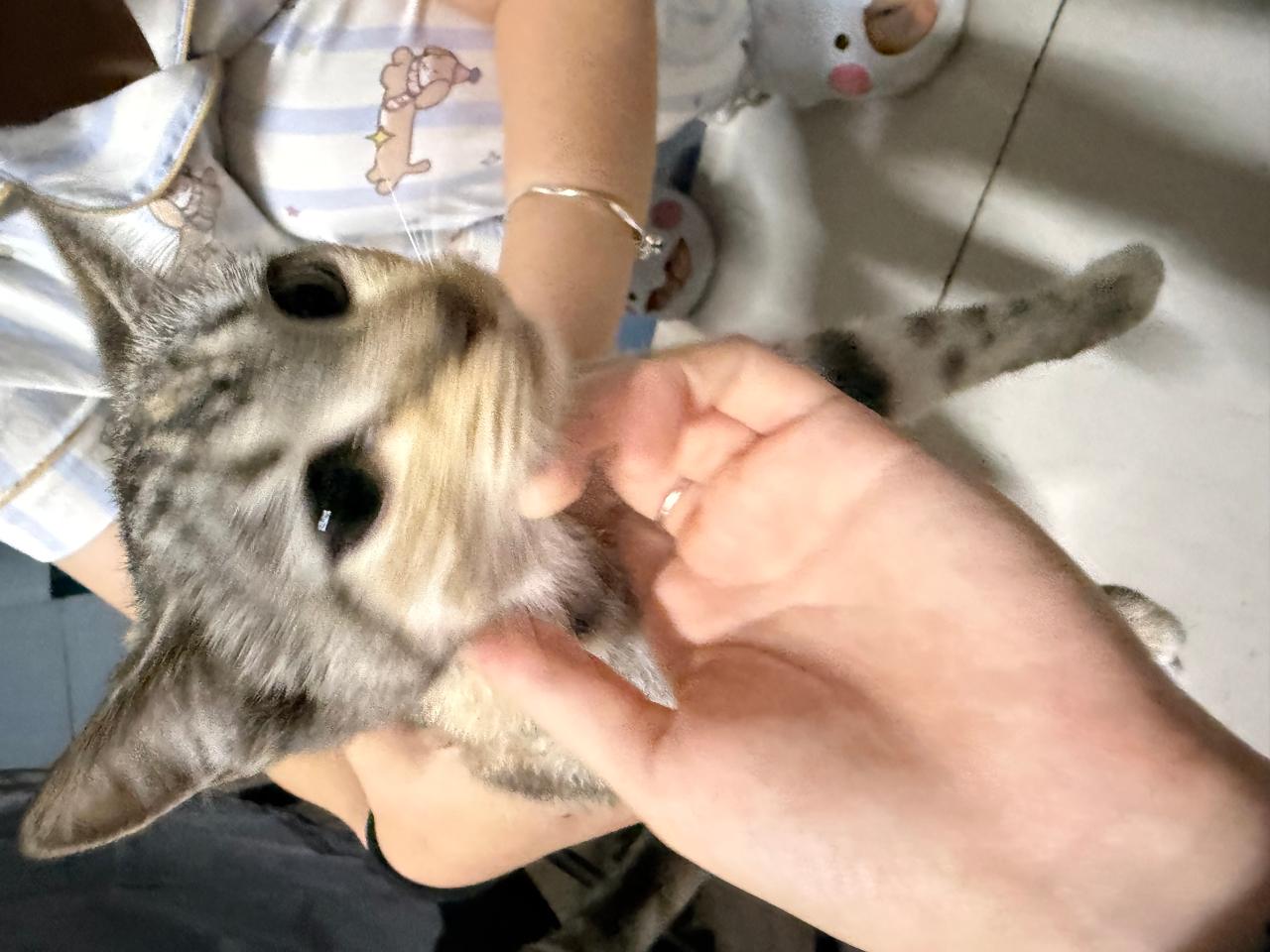 #