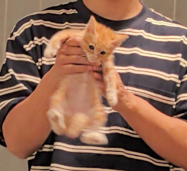 #