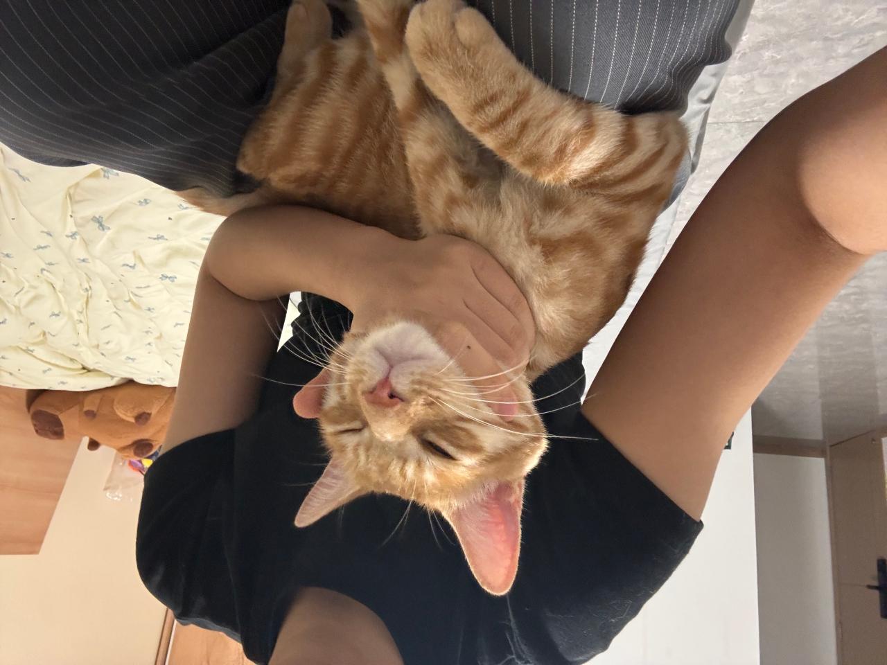 #