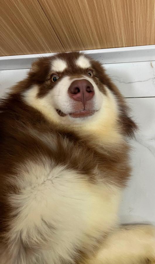 #