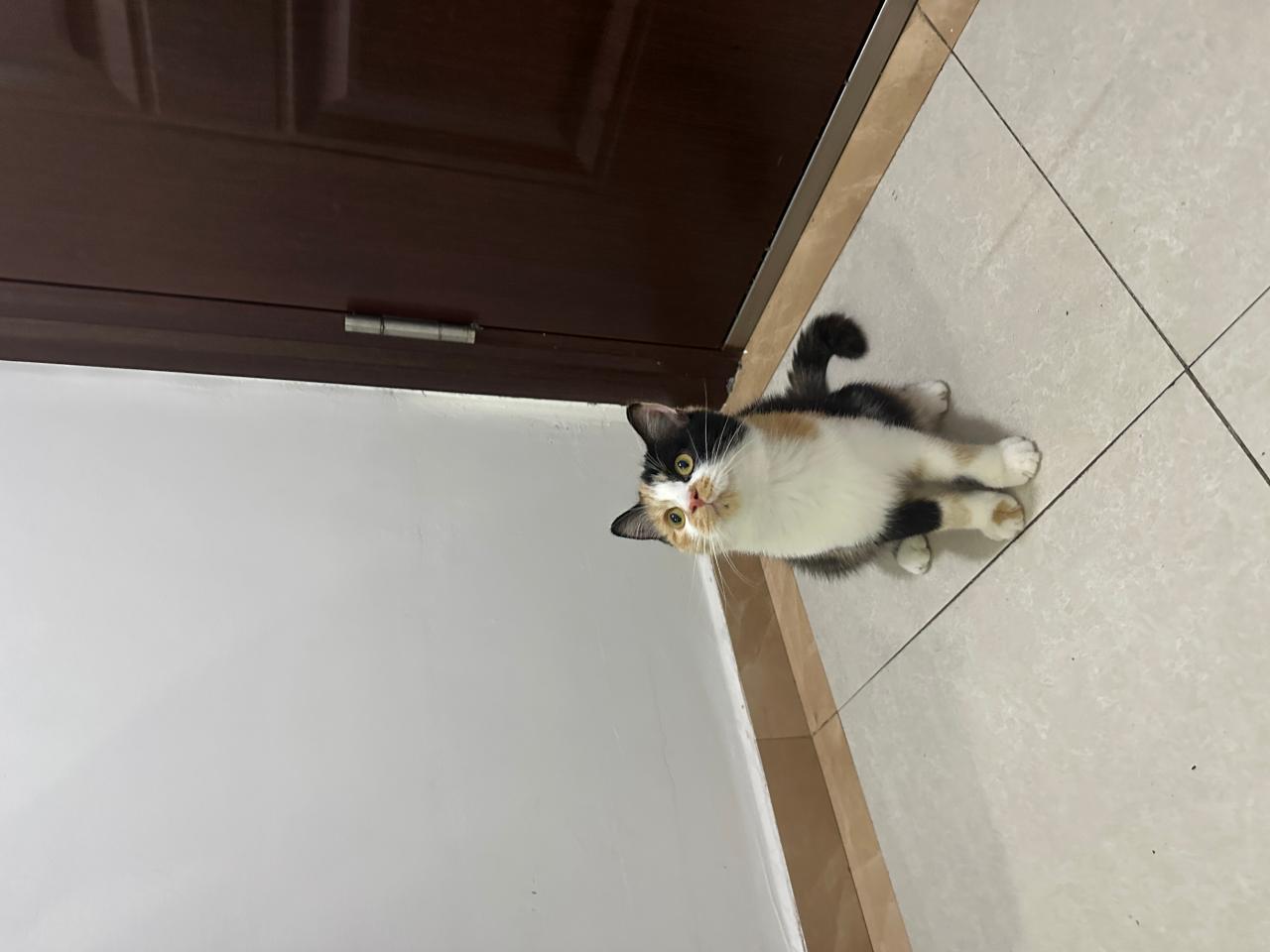 #
