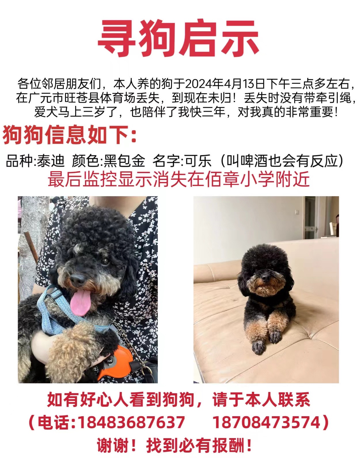 寻宠启示——可乐