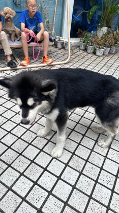 四川广元