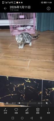 我的花花你在哪里？