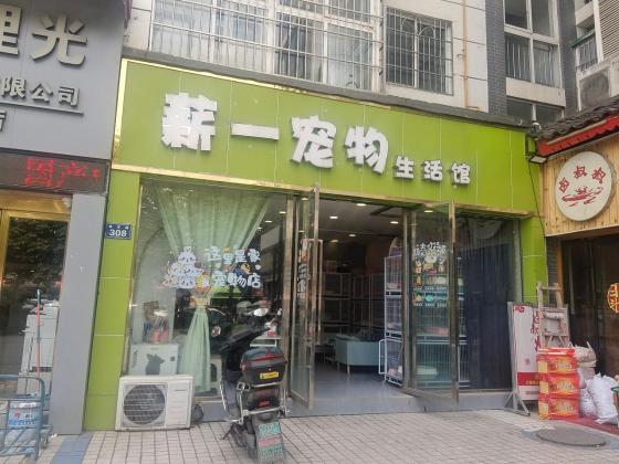 商铺转让·泰丰苑对面薪一宠物生活馆