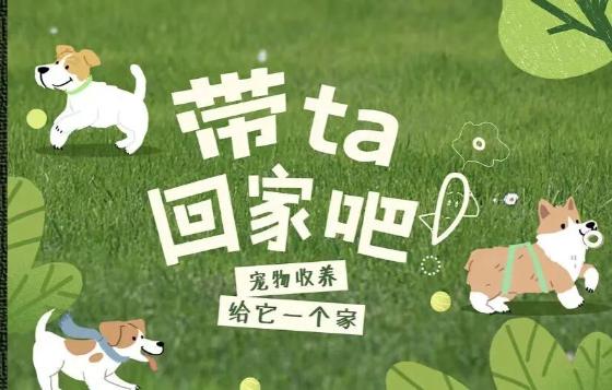 宠物用品·猫砂盆